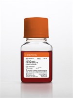 500 mL Trypsin EDTA 1x 0.05% Trypsin/0.53 mM EDTA in HBSS without calc