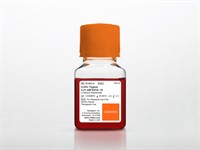 Trypsin/EDTA 1X (0,25% Trypsin/2,21 mM EDTA)