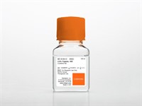 100 mL Trypsin 10x 2.5% Trypsin in HBSS without calcium, magnesium, an