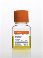 50 mL Amphotericin B, Liquid 250 µg/mL solubilized