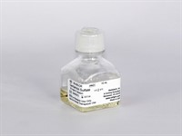 10 mL Gentamicin Sulfate, Liquid 50 mg/mL Solution