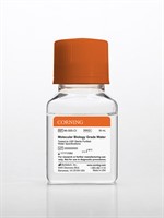 100 mL Molecular Biology Grade Water